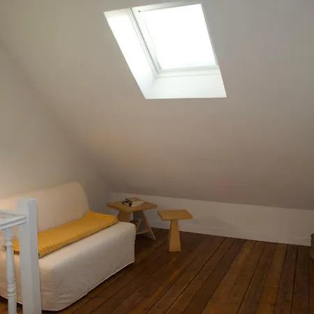 France Gall فيلة *