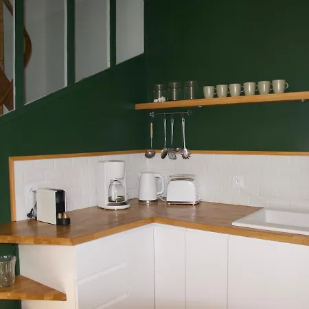 فيلة France Gall تروفيي سور مير