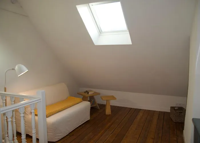 France Gall فيلة *