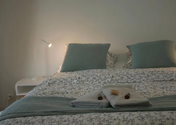 فيلة France Gall