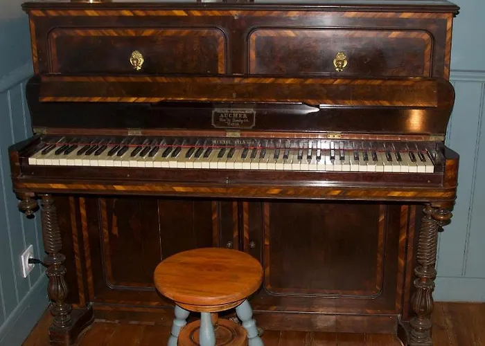 فيلة France Gall *